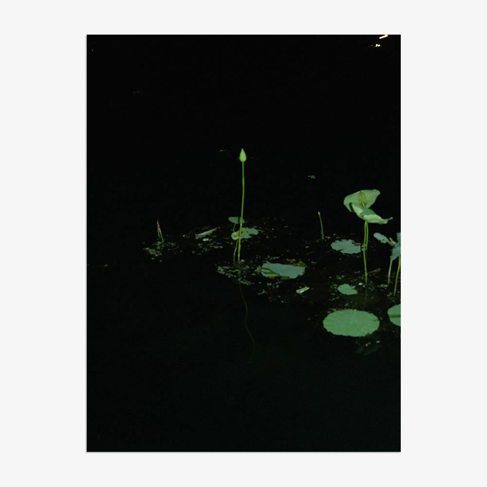 Photograph by Neil Kryszak