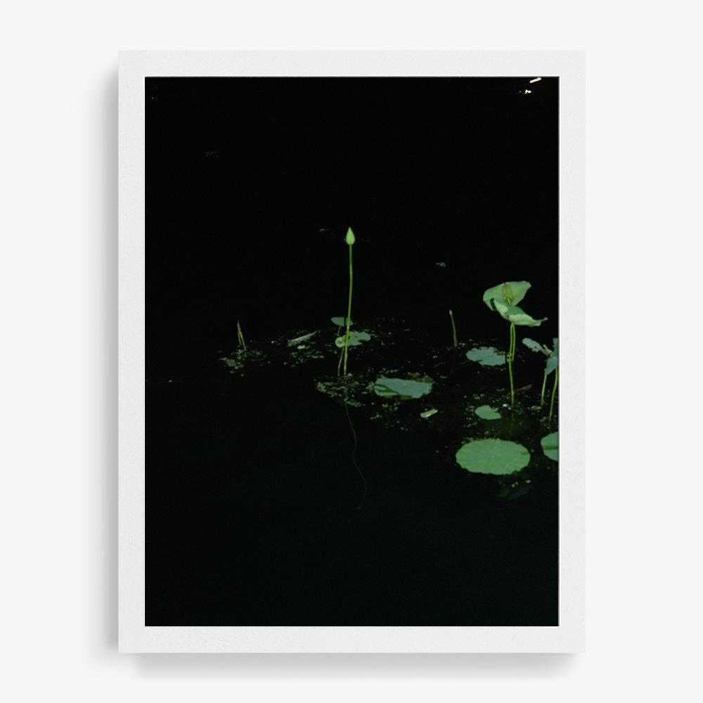 Photograph by Neil Kryszak