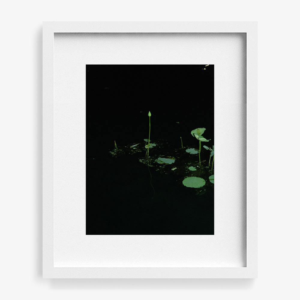 Photograph by Neil Kryszak