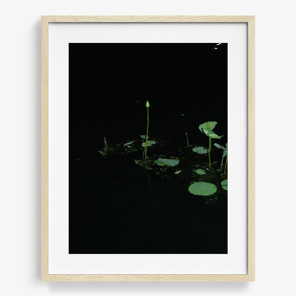 Photograph by Neil Kryszak