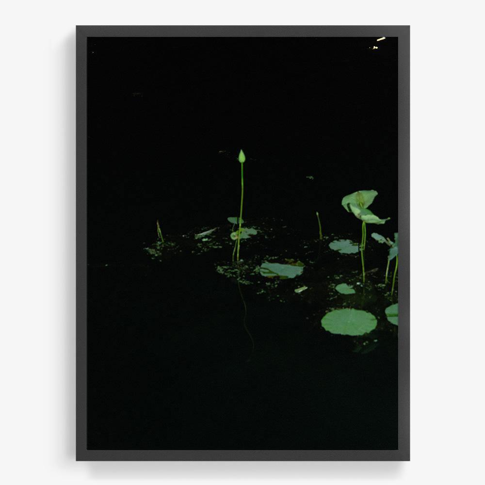 Photograph by Neil Kryszak