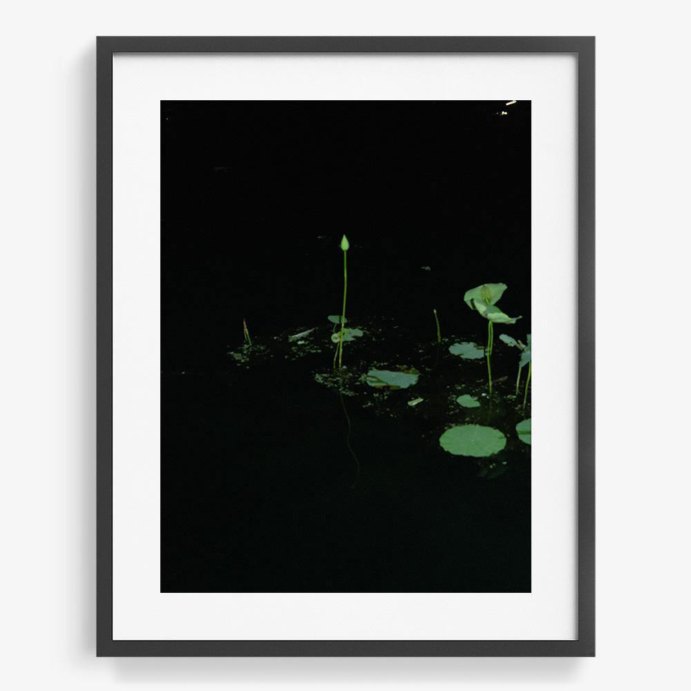 Photograph by Neil Kryszak