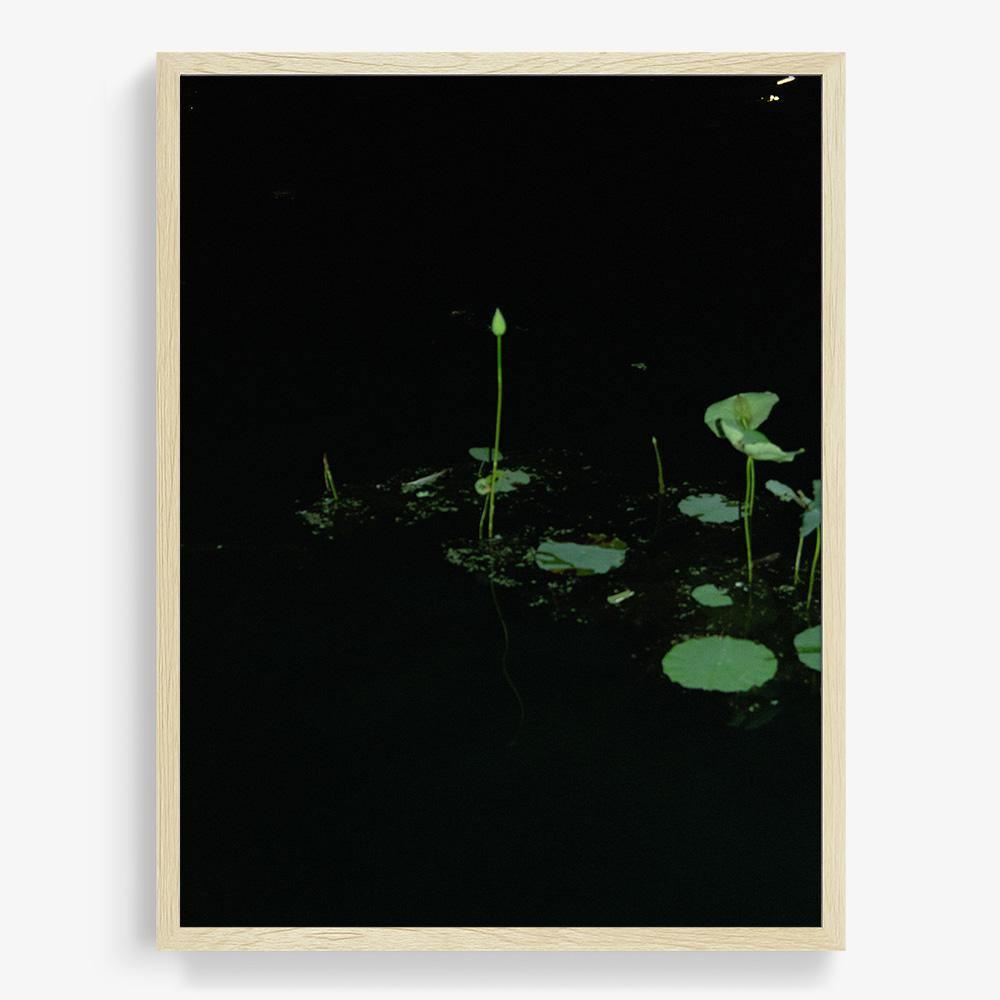 Photograph by Neil Kryszak