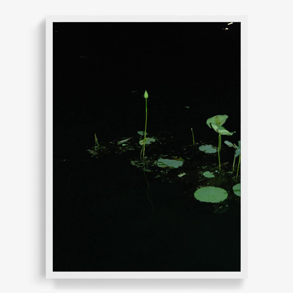 Photograph by Neil Kryszak