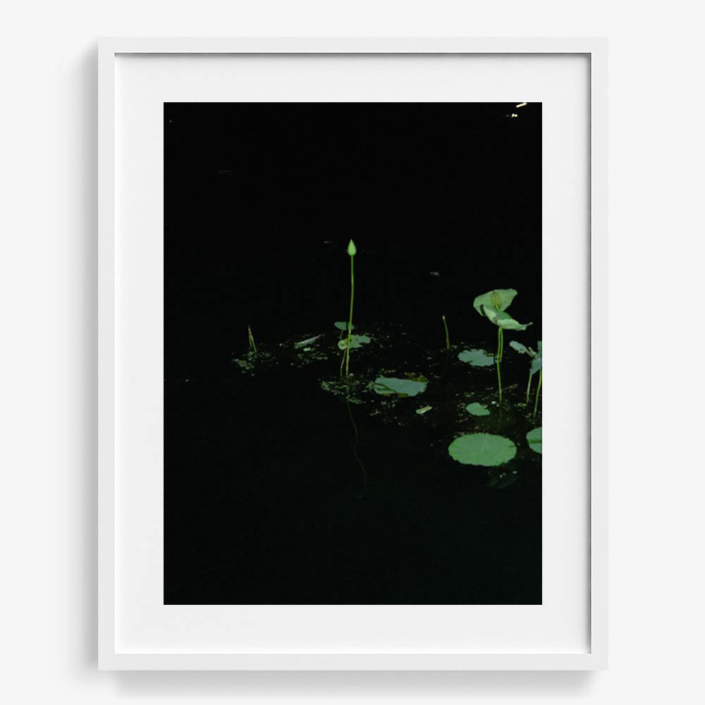 Photograph by Neil Kryszak