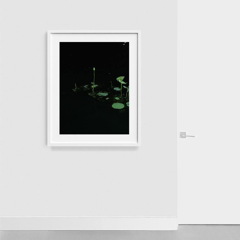 Photograph by Neil Kryszak