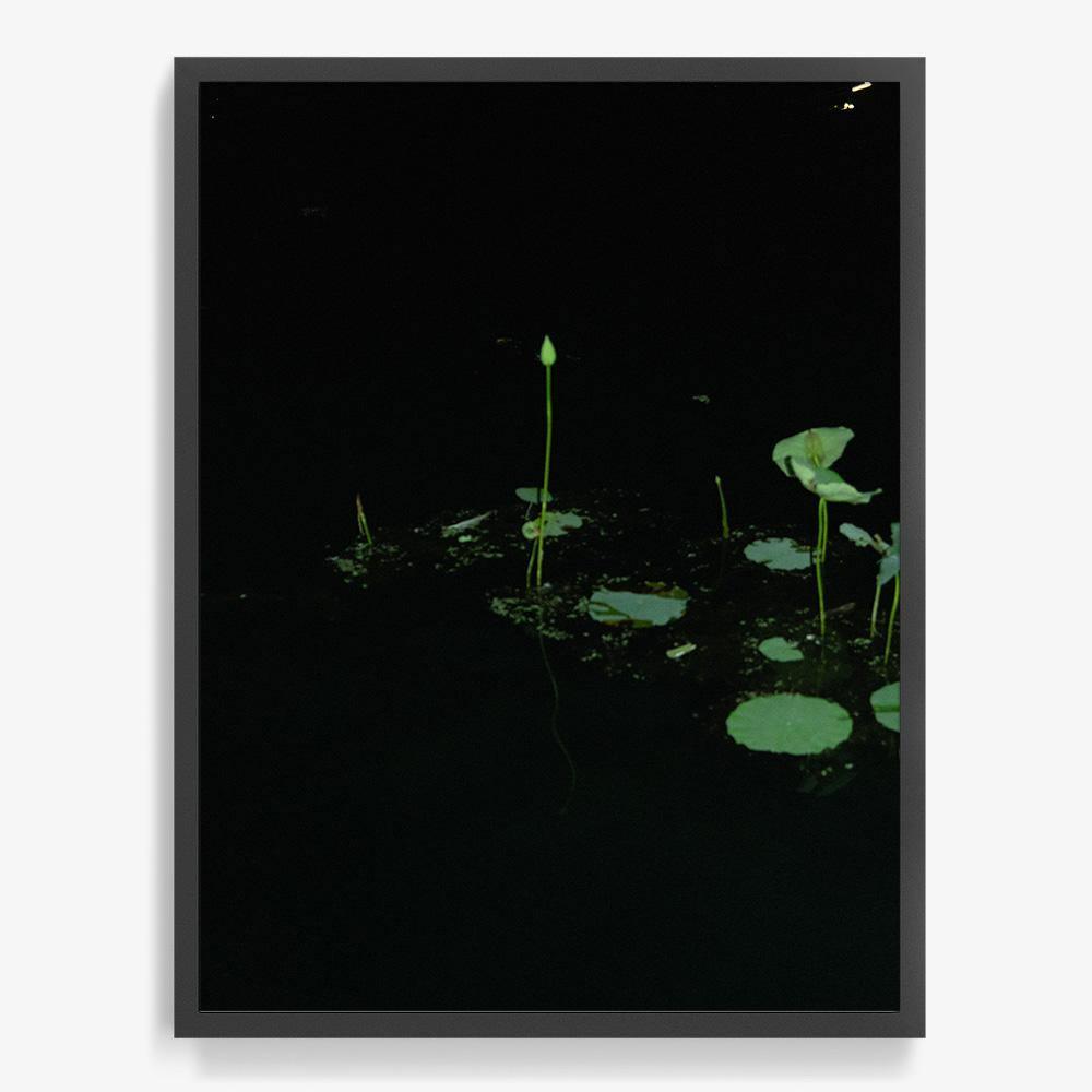 Photograph by Neil Kryszak