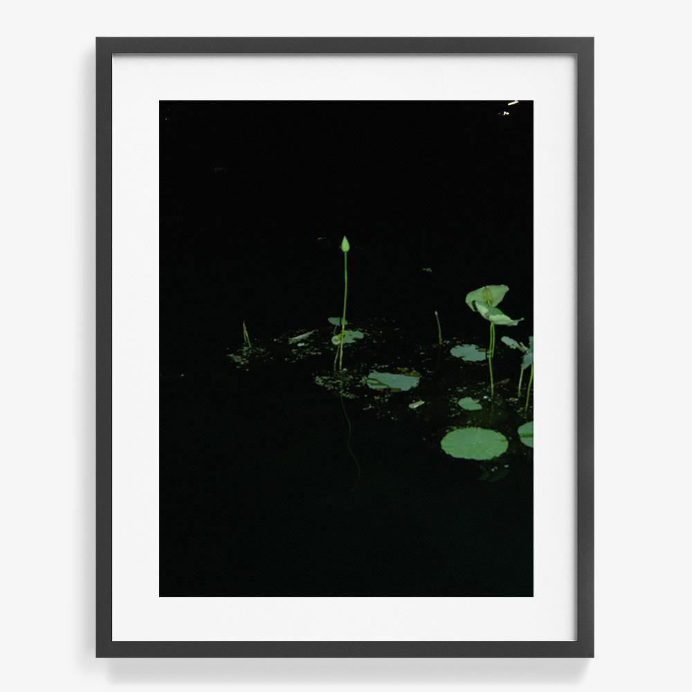 Photograph by Neil Kryszak