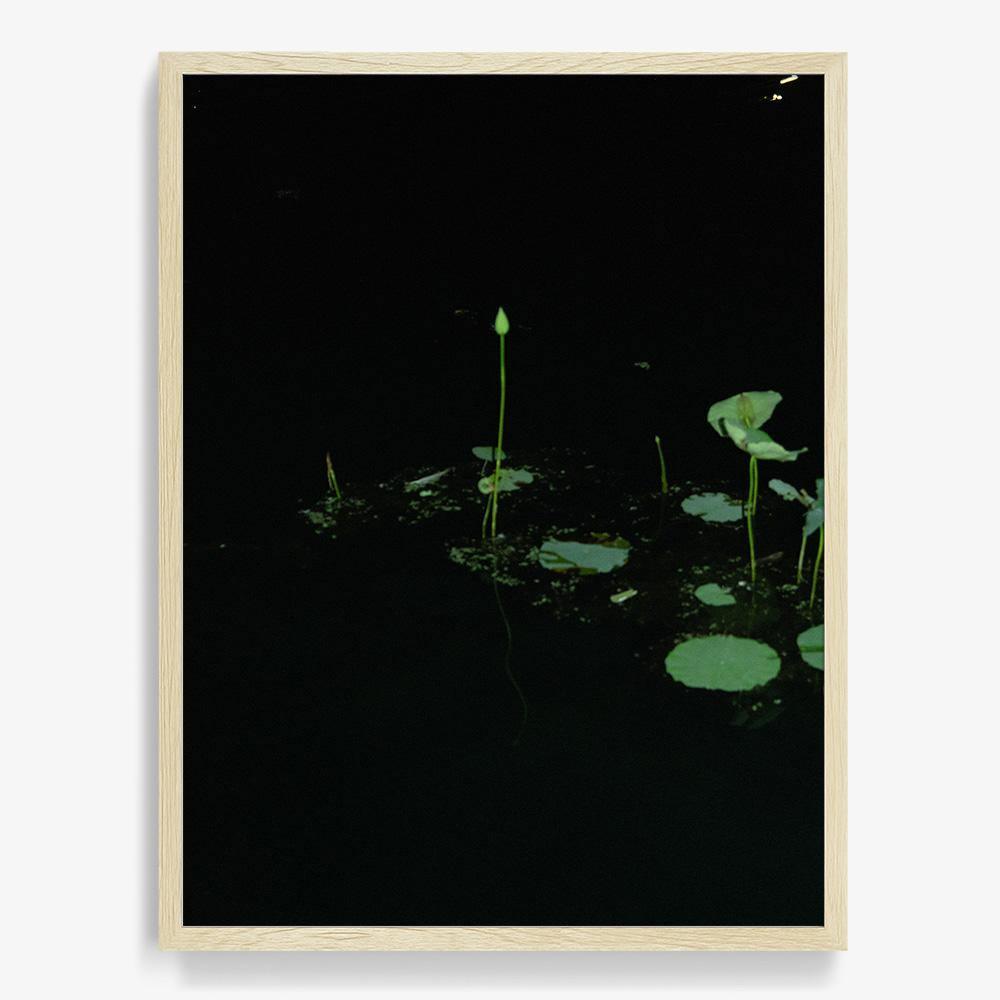 Photograph by Neil Kryszak