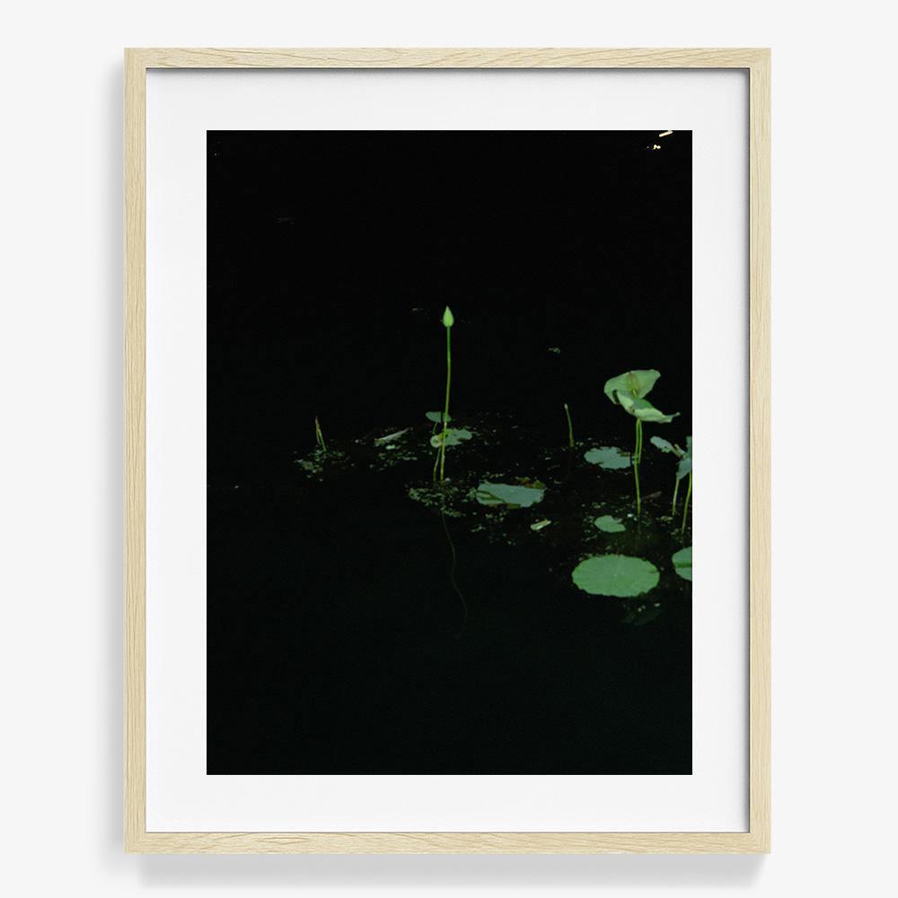 Photograph by Neil Kryszak