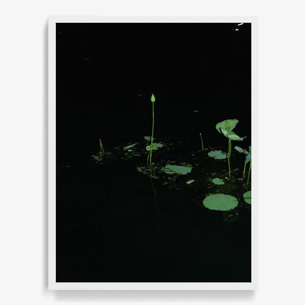 Photograph by Neil Kryszak