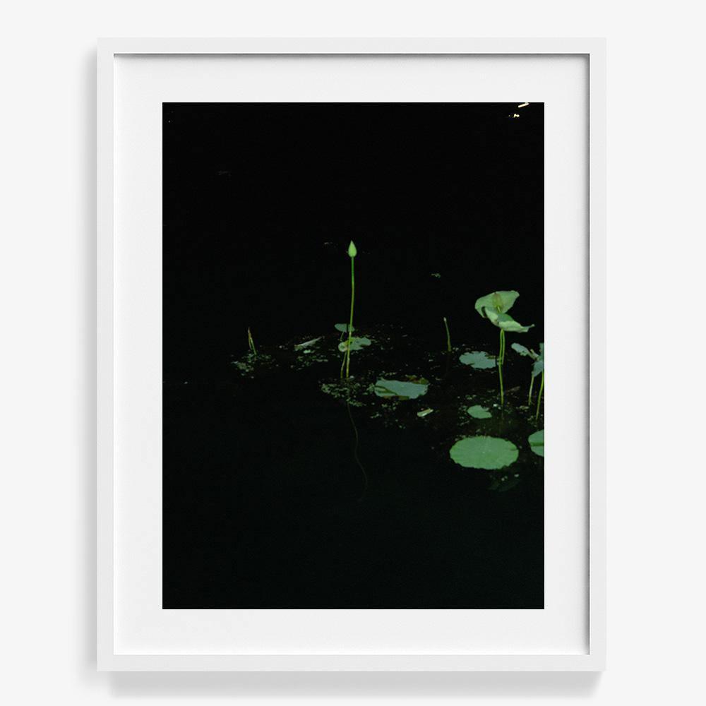 Photograph by Neil Kryszak