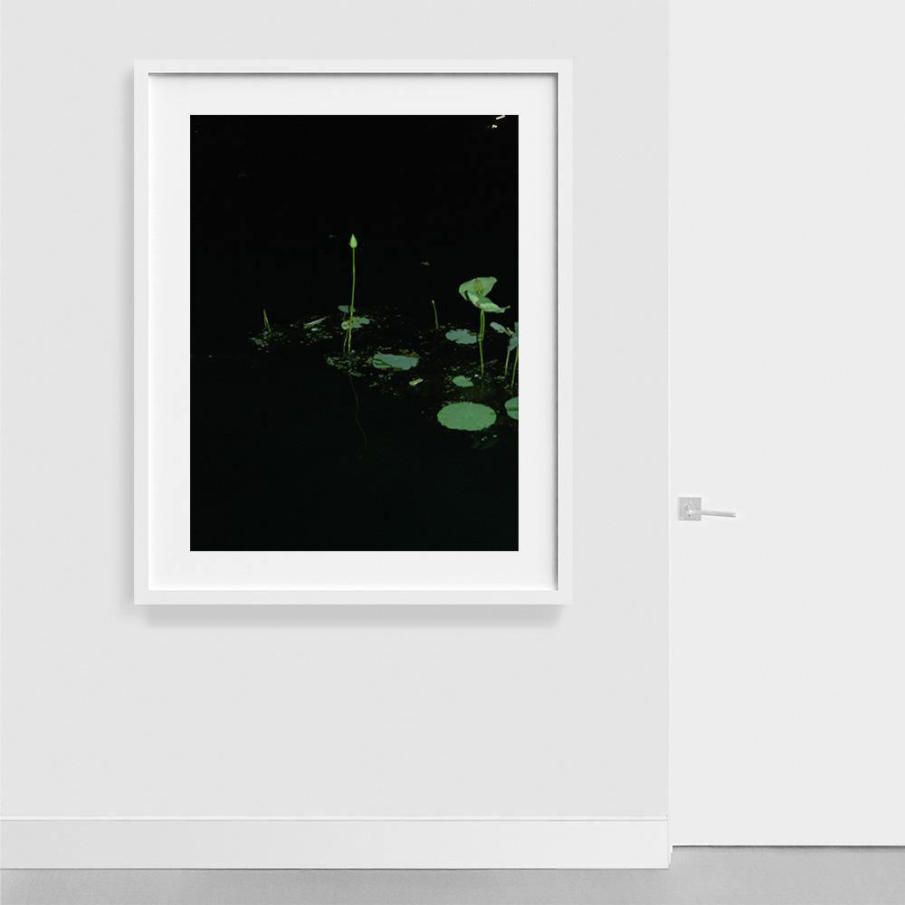 Photograph by Neil Kryszak