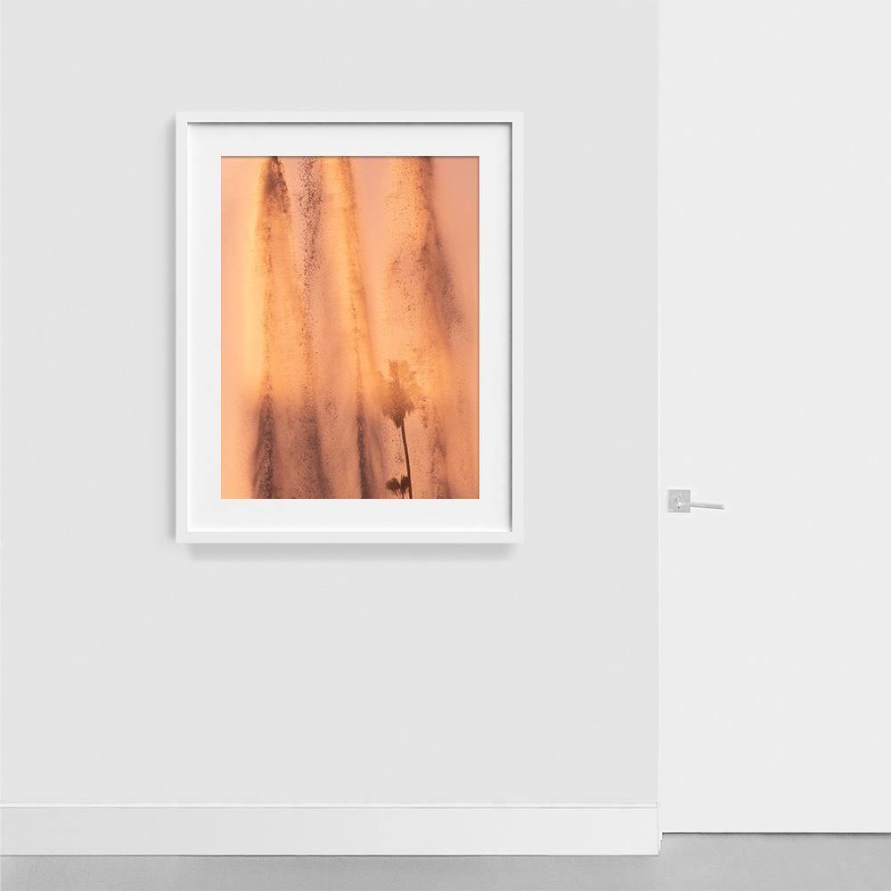 Photograph by Neil Kryszak