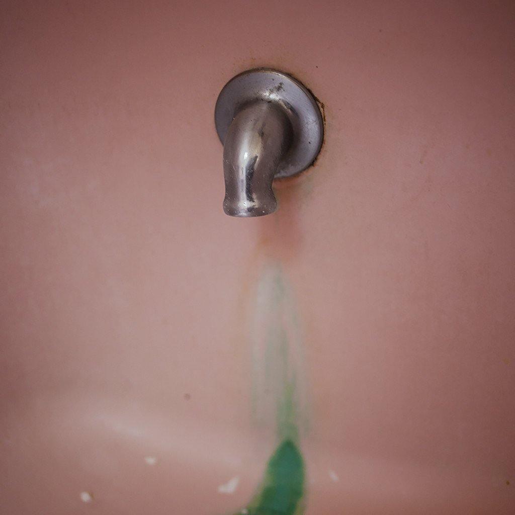 Photograph by Molly Berman