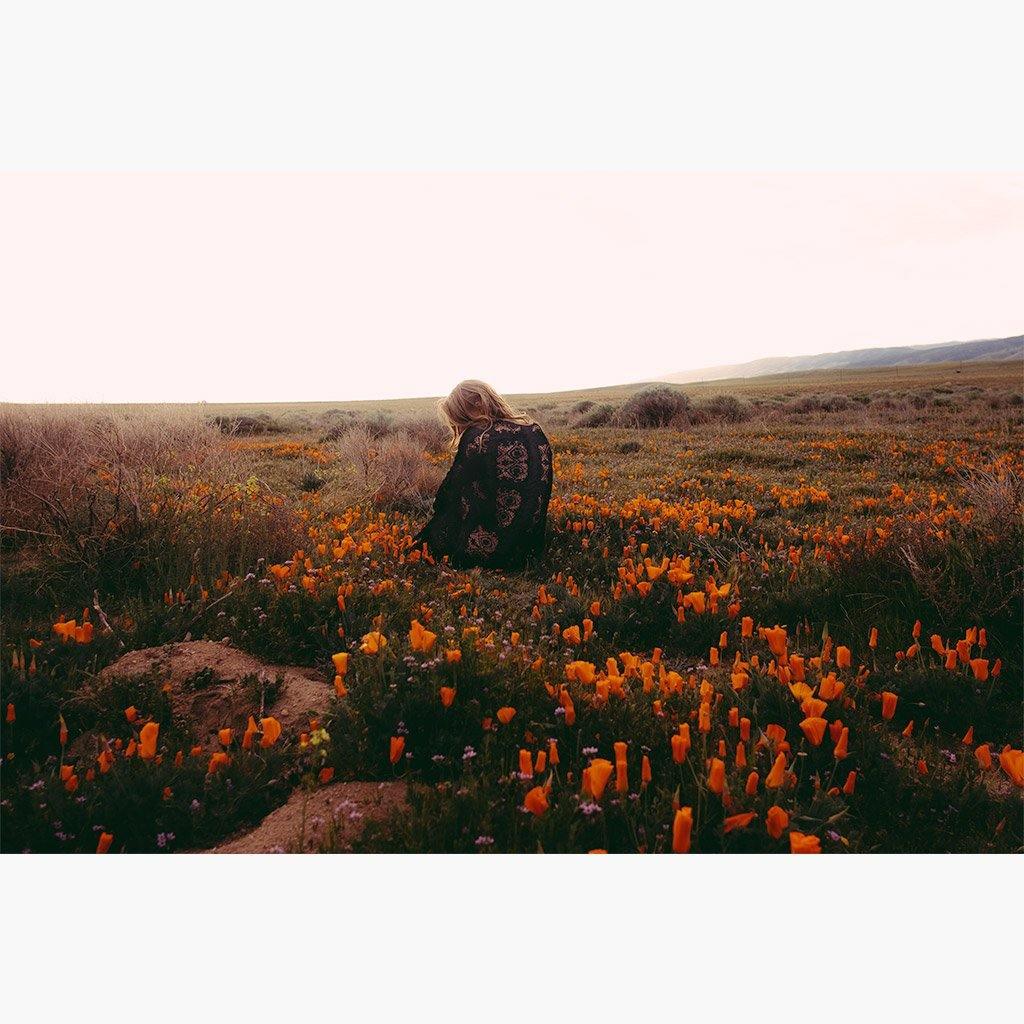 Photograph by Marc Gabor