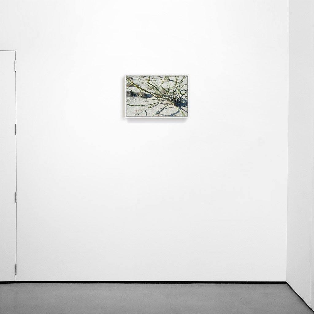 Photograph by Marc Gabor
