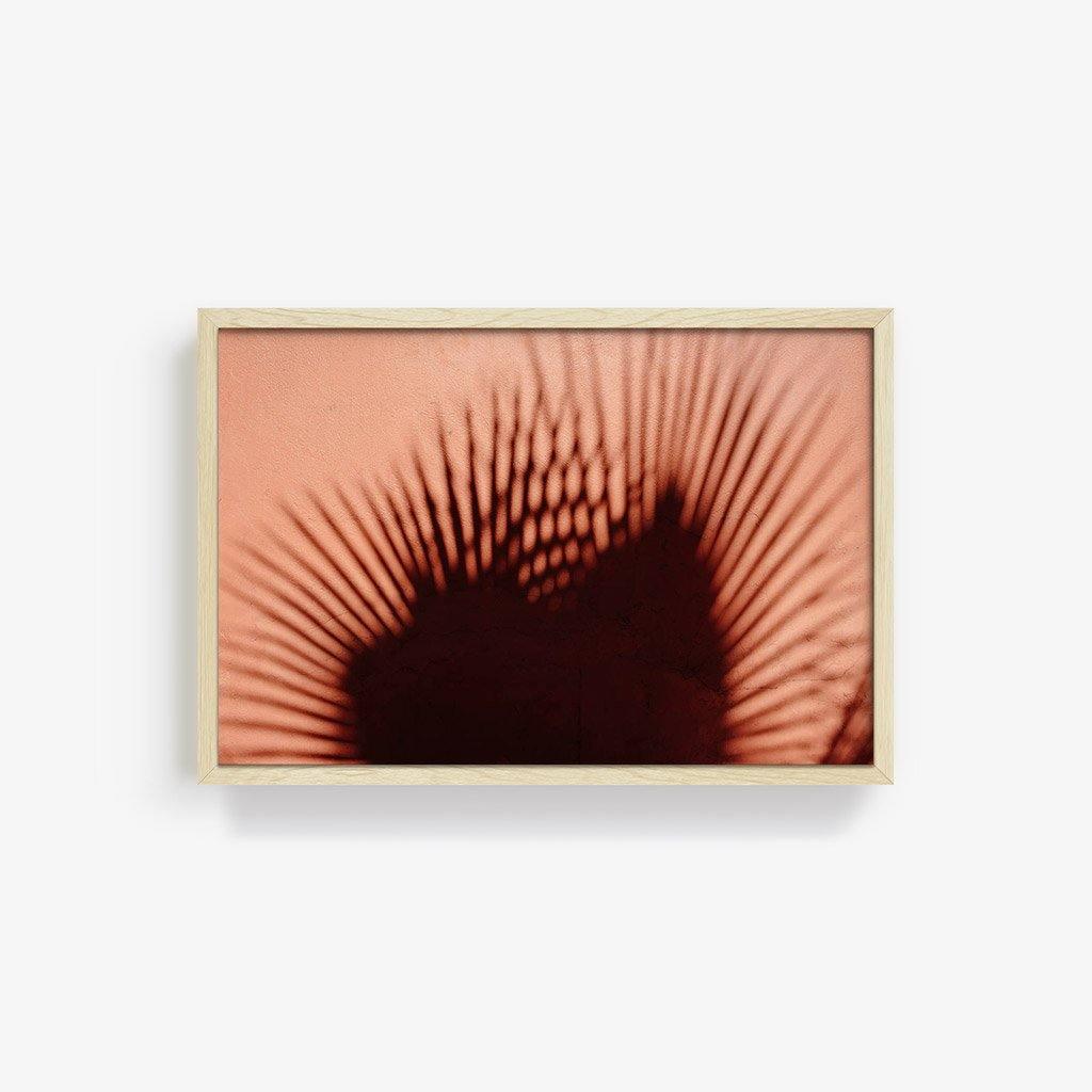 Photograph by Marc Gabor