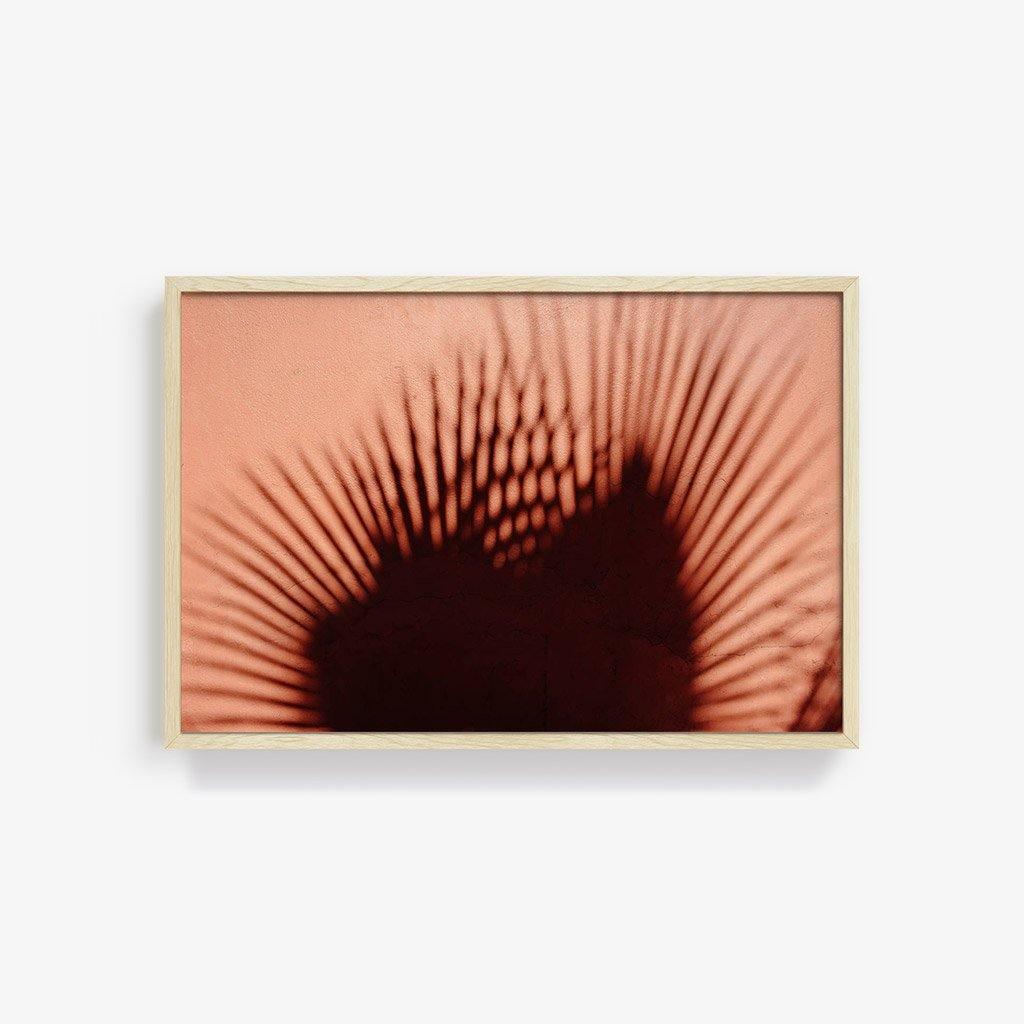 Photograph by Marc Gabor