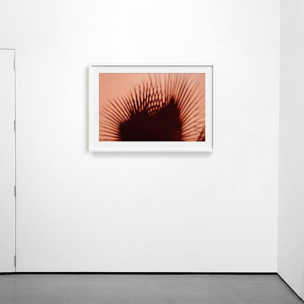 Photograph by Marc Gabor