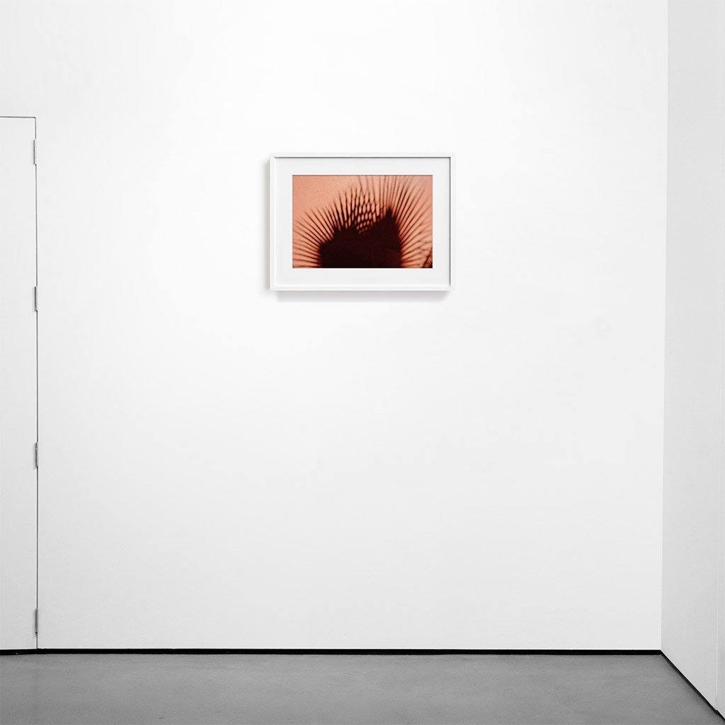 Photograph by Marc Gabor