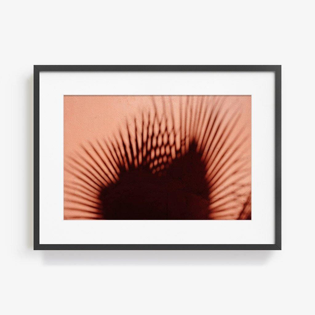 Photograph by Marc Gabor