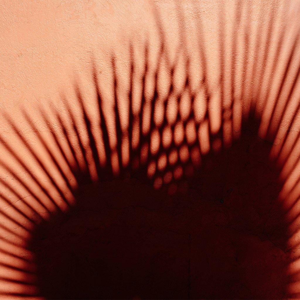 Photograph by Marc Gabor