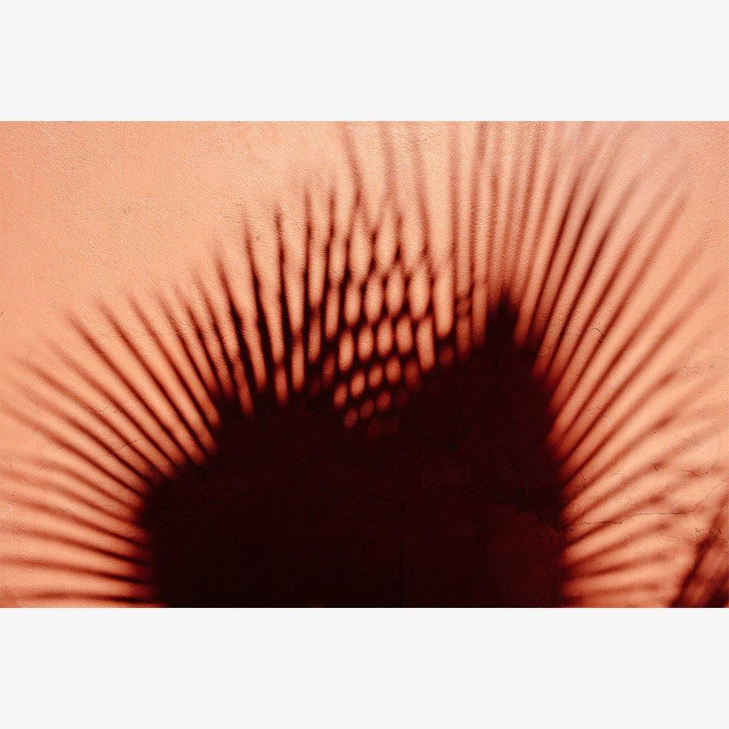 Photograph by Marc Gabor