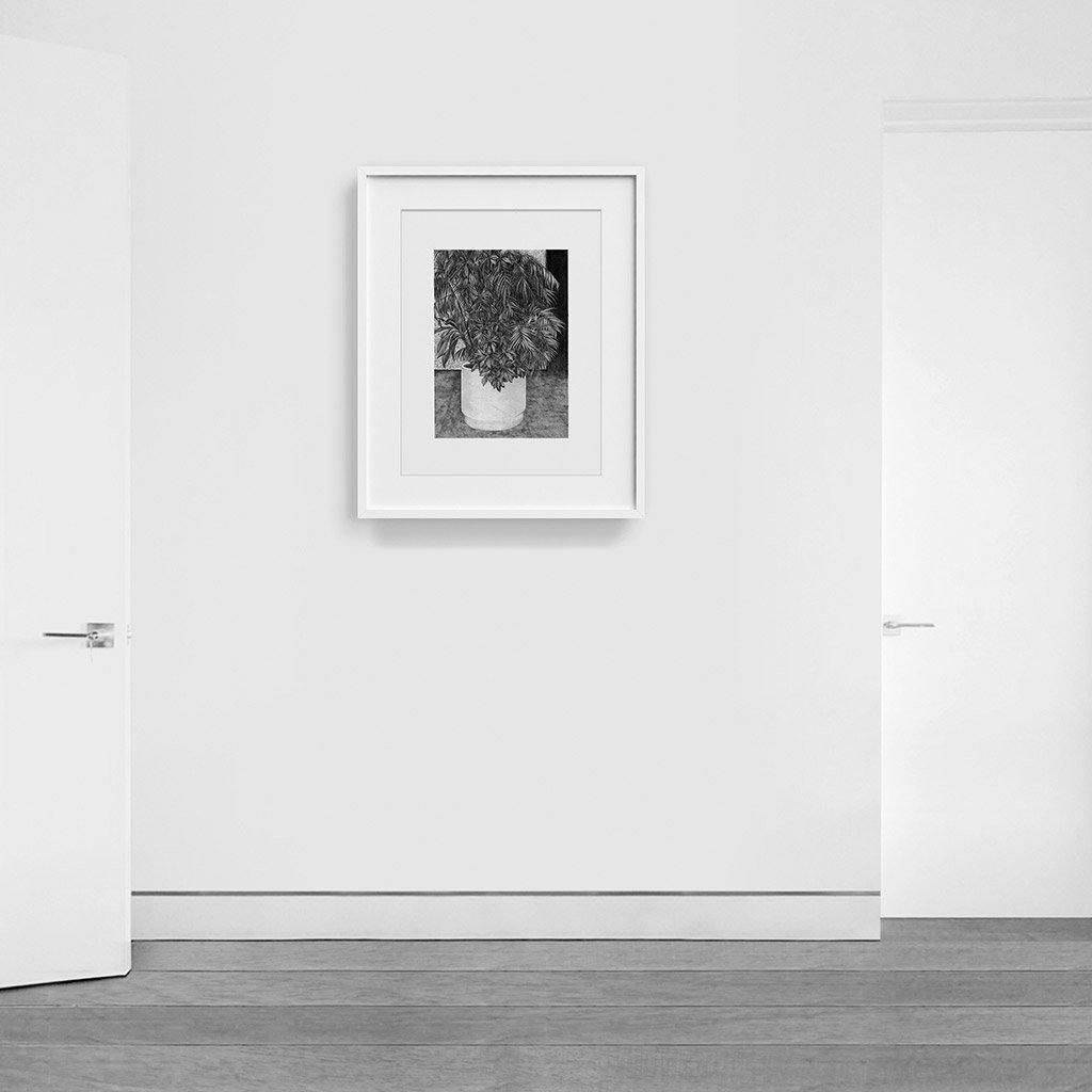 Print by Martinet & Texereau