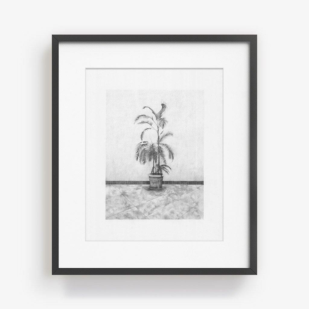Print by Martinet & Texereau
