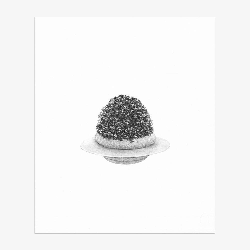 Drawing by Martinet & Texereau