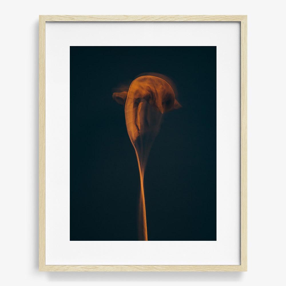 Photograph by Jan Prengel