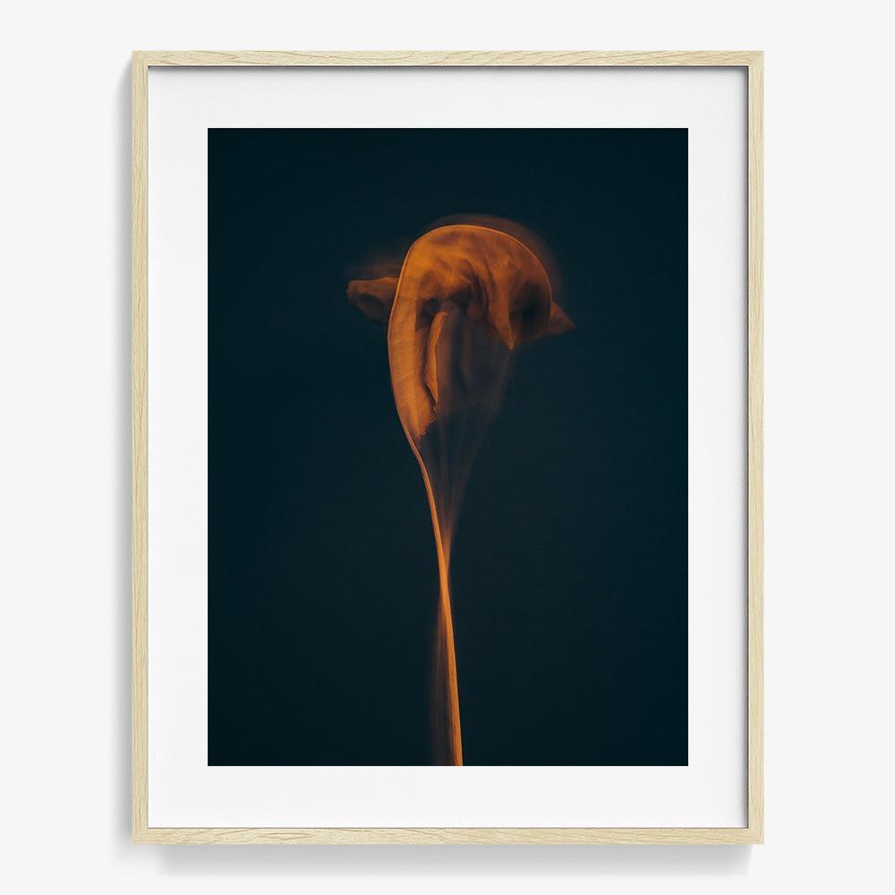 Photograph by Jan Prengel