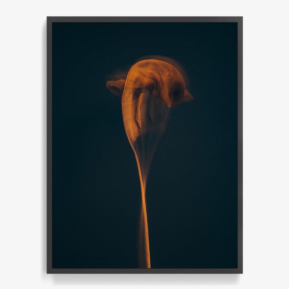 Photograph by Jan Prengel