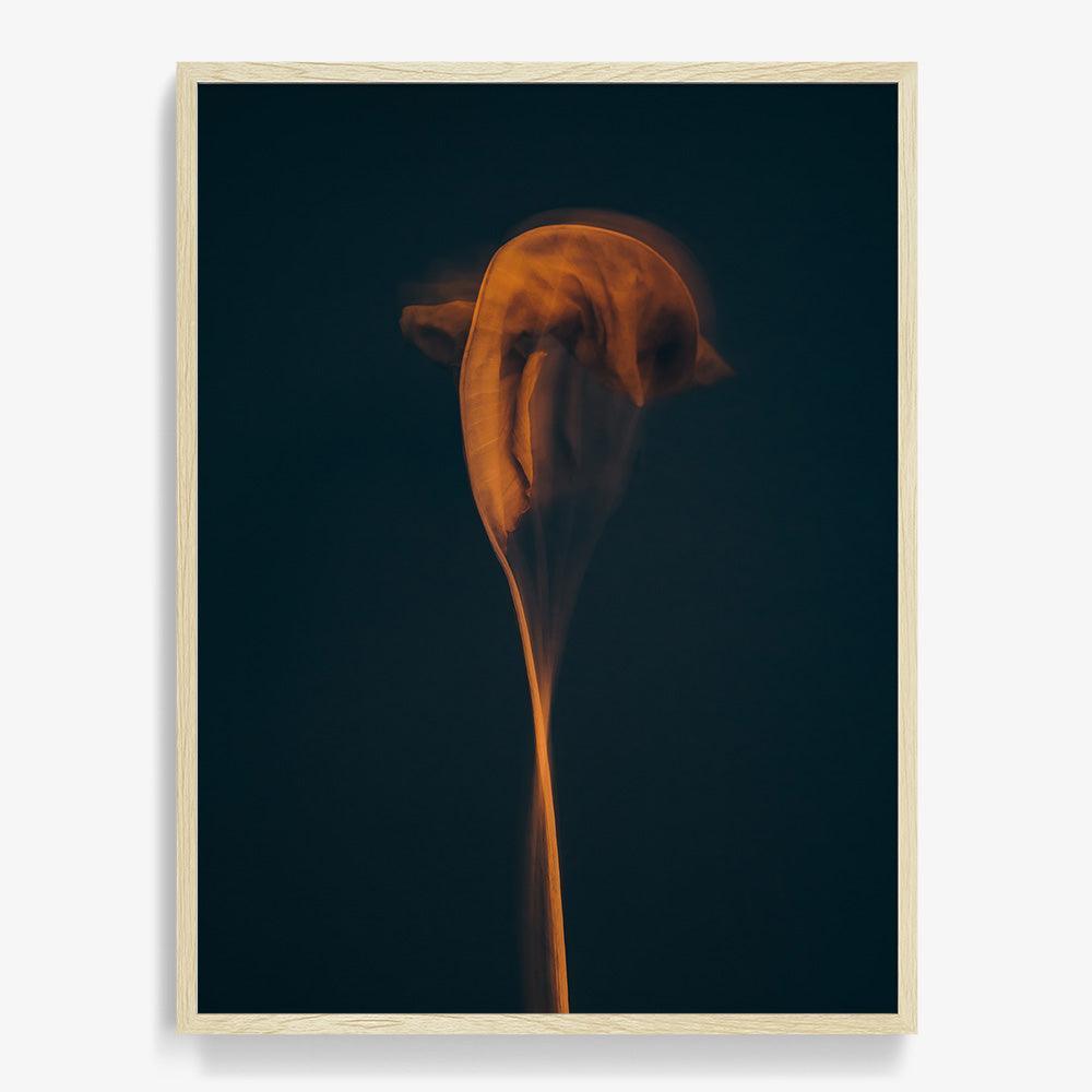 Photograph by Jan Prengel