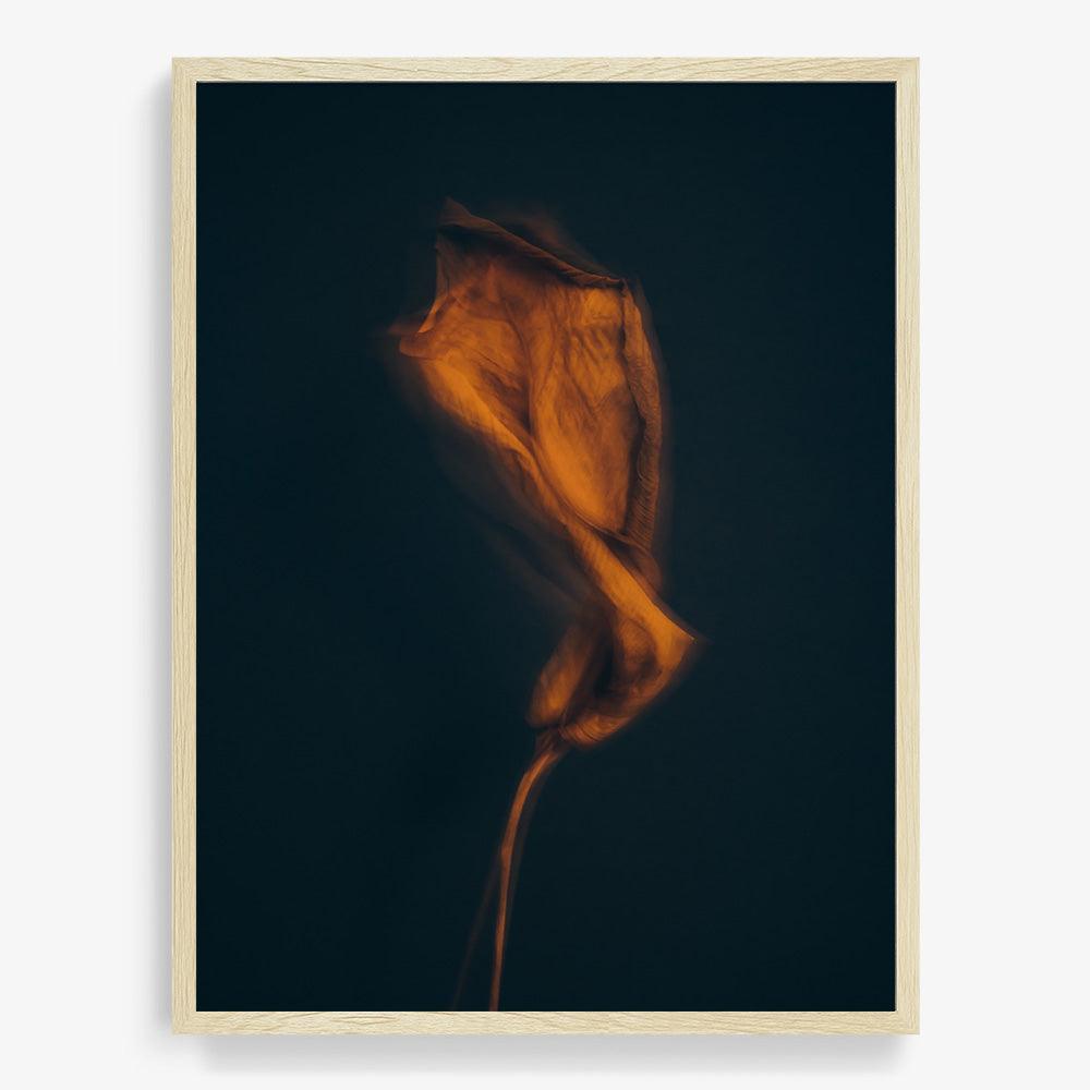 Photograph by Jan Prengel