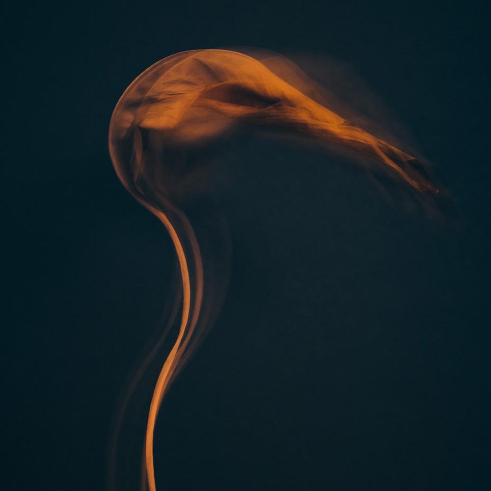 Photograph by Jan Prengel