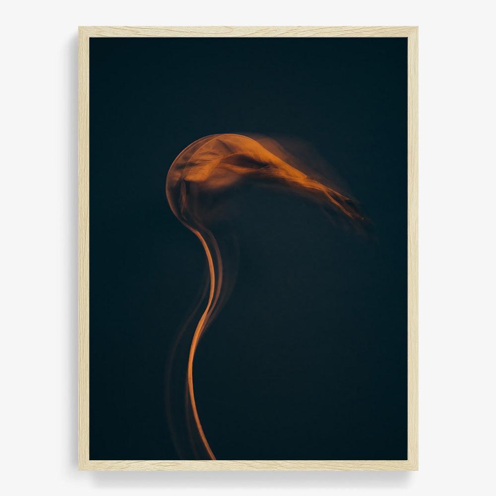 Photograph by Jan Prengel