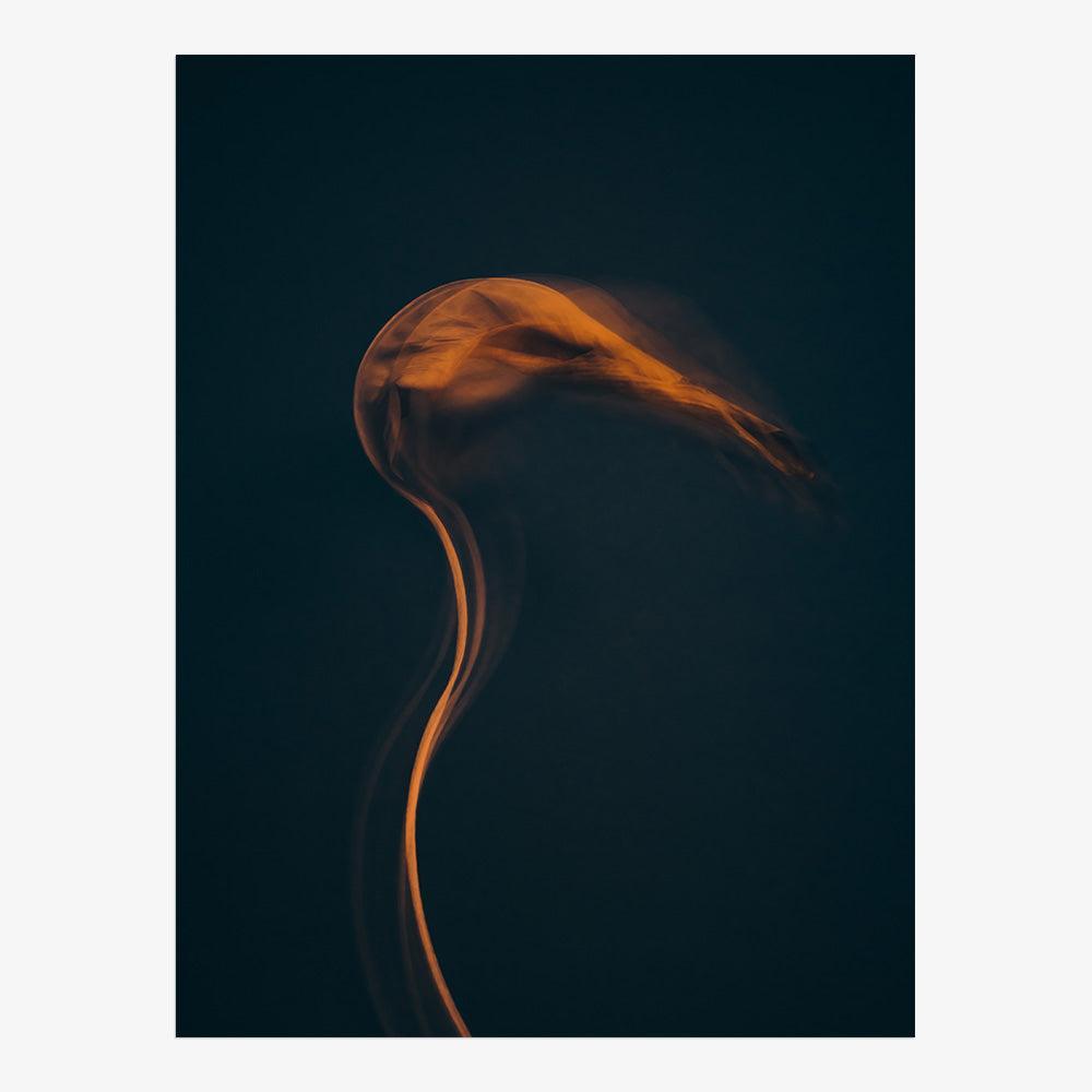 Photograph by Jan Prengel