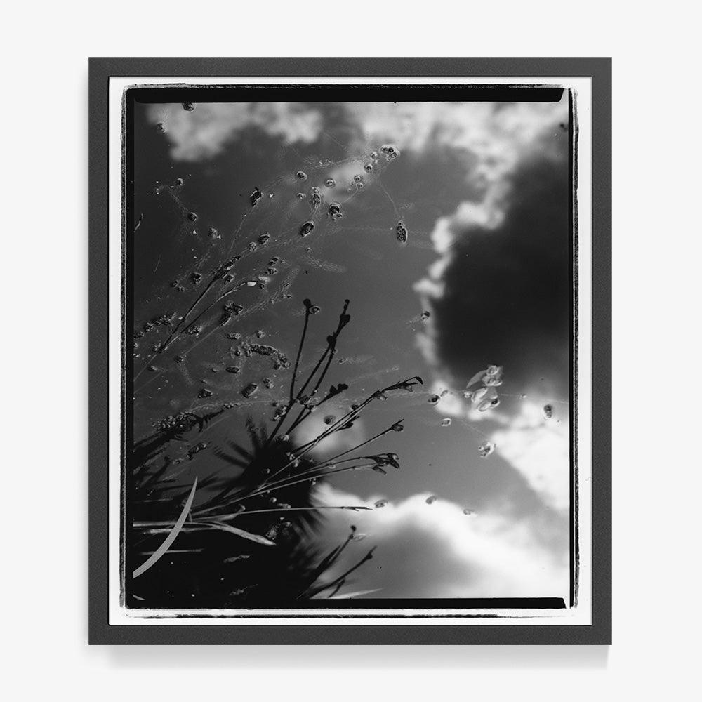 Photograph by Katie Burdon