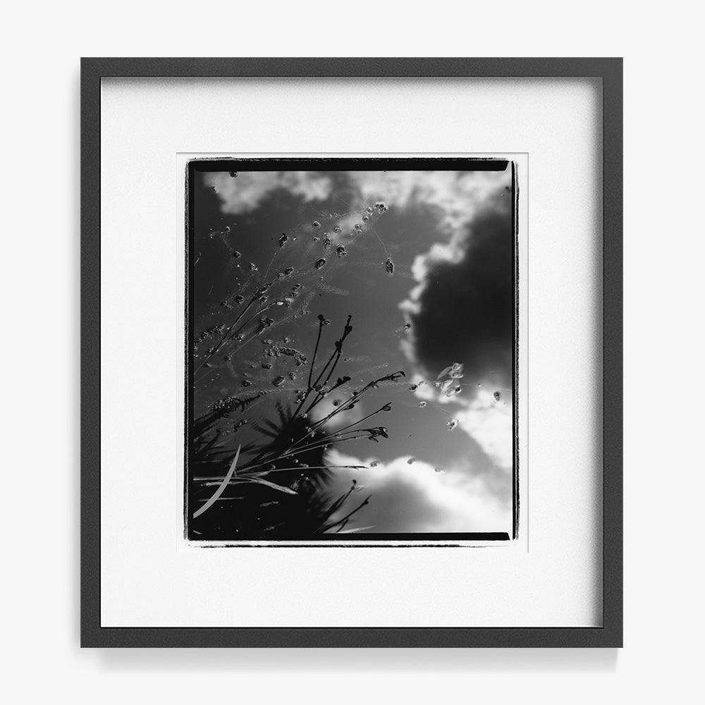 Photograph by Katie Burdon