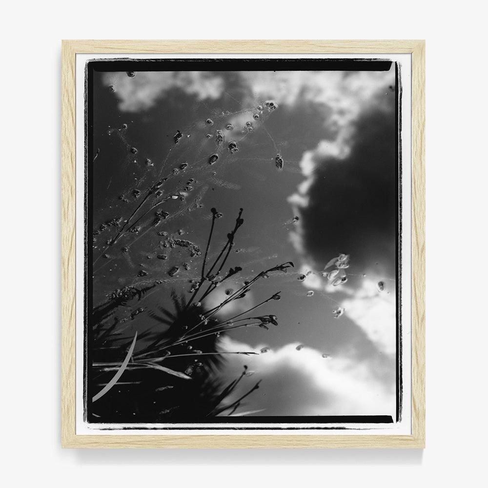 Photograph by Katie Burdon