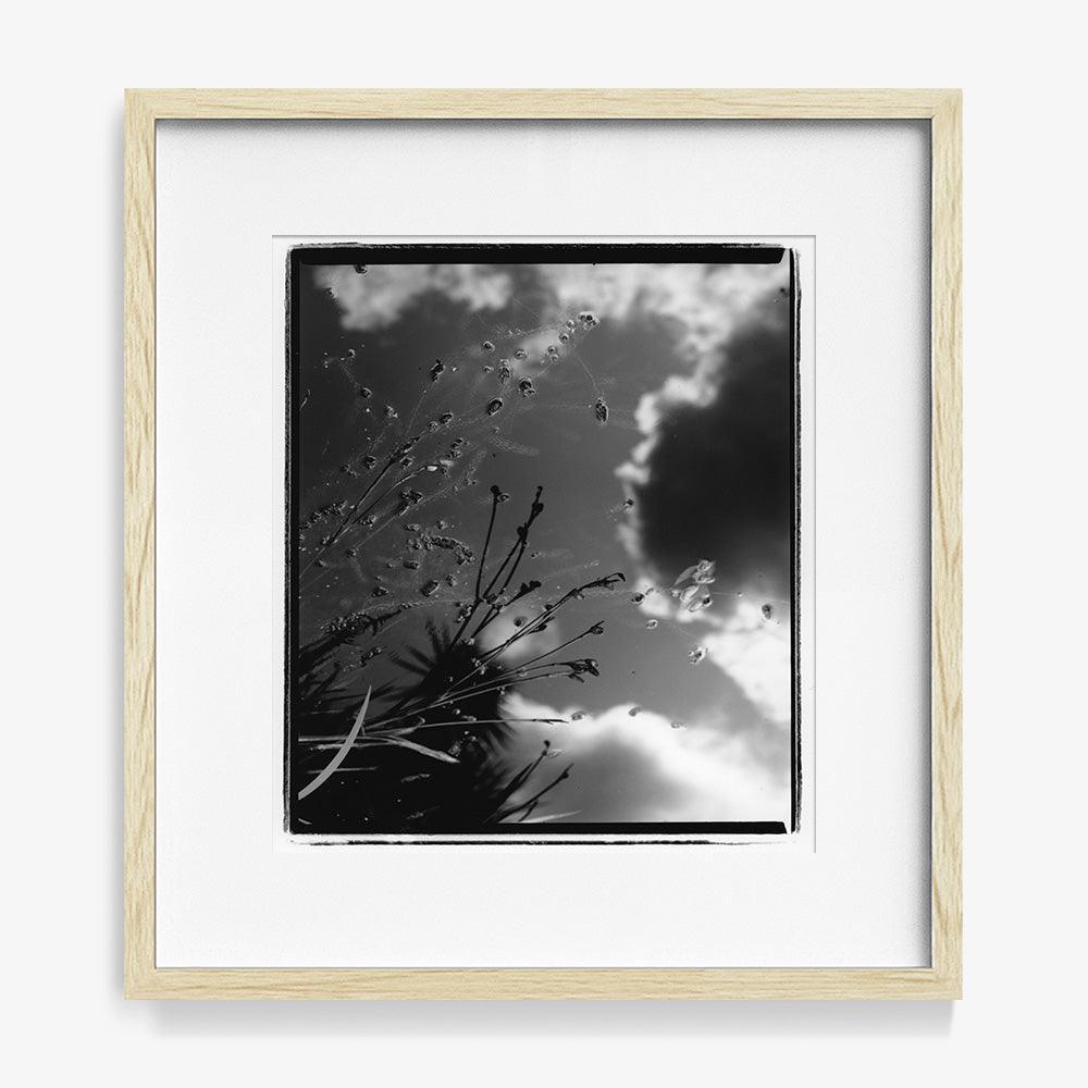 Photograph by Katie Burdon