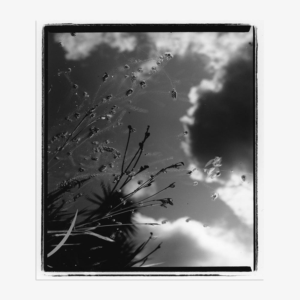 Photograph by Katie Burdon