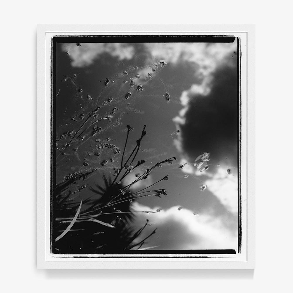 Photograph by Katie Burdon