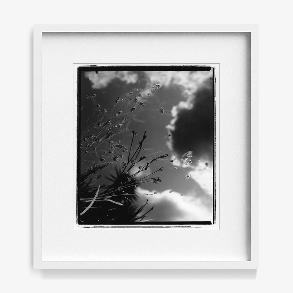 Photograph by Katie Burdon