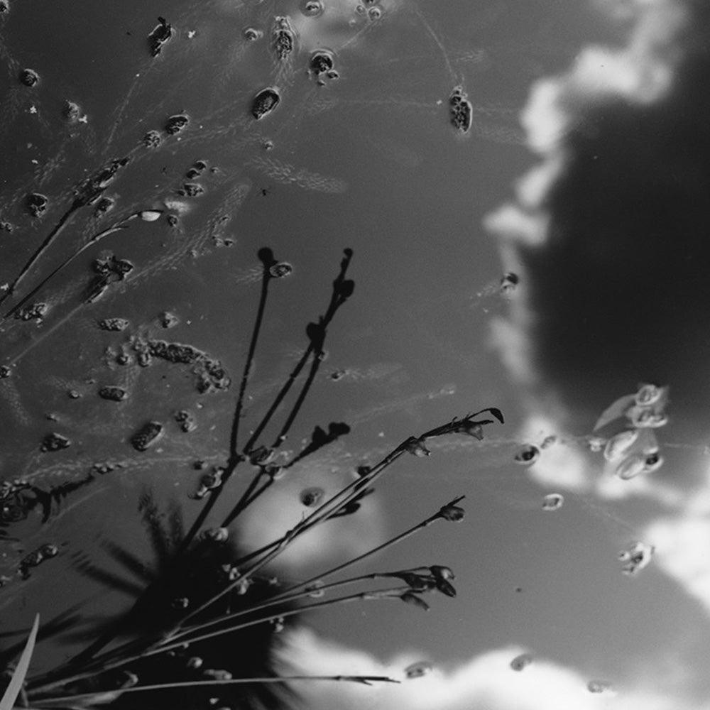 Photograph by Katie Burdon