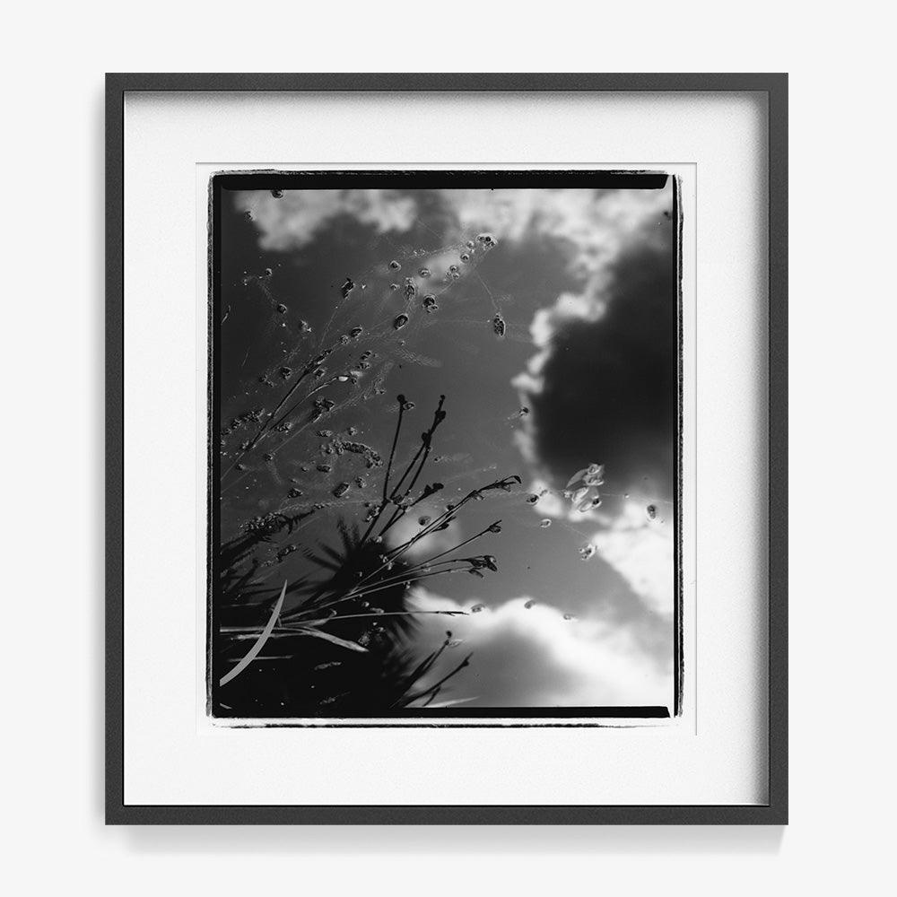 Photograph by Katie Burdon