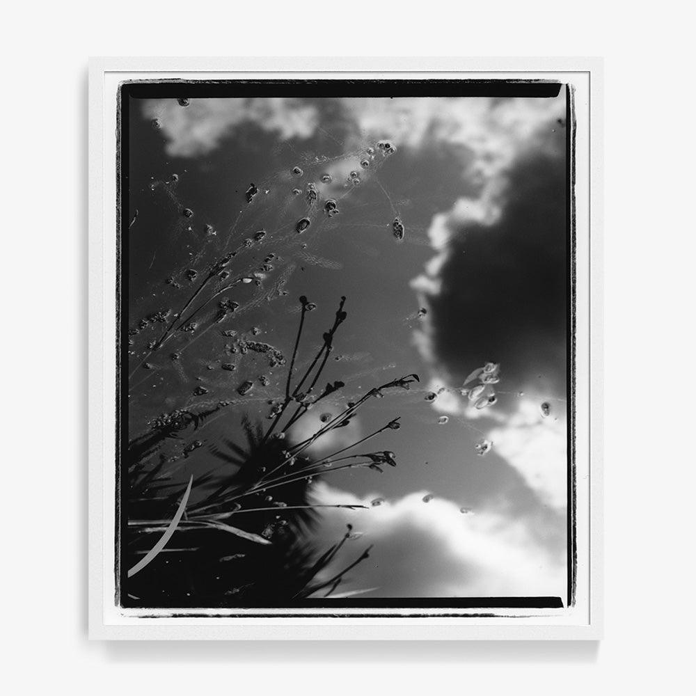 Photograph by Katie Burdon