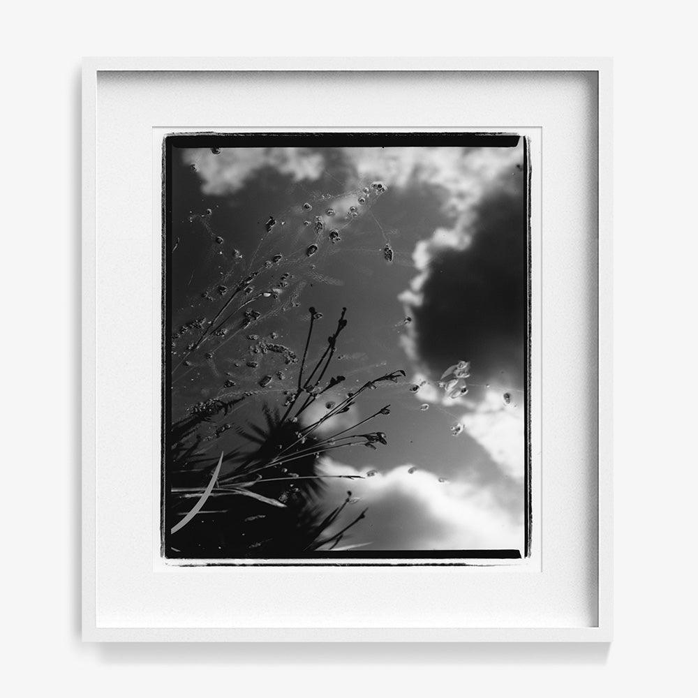 Photograph by Katie Burdon